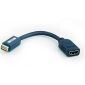 Mini DVI hane till HDMI hona adapterkabel