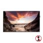 Samsung PM32F - 32 tum - 1920x1080 - 2x DP - 2x HDMI - DVI - Svart - Utan stativ