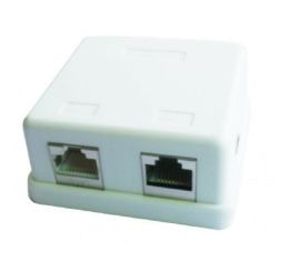 Ytmonteringslåda med två jack och 2 CAT5e halvskärmade keystone-jack
