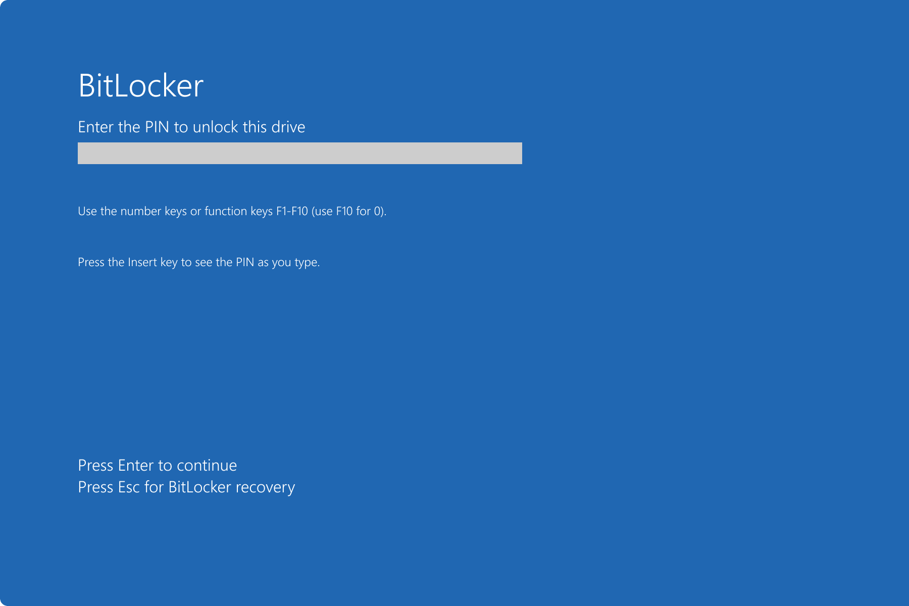 bitlocker kringgå